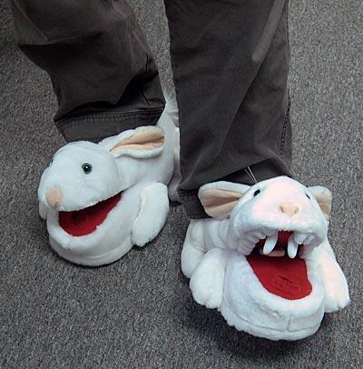 Gaels, dont wear your Killer Bunny slippers to class!
