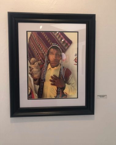 Art exhibit showcases faculty talent