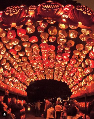 The best things to do in Westchester this fall