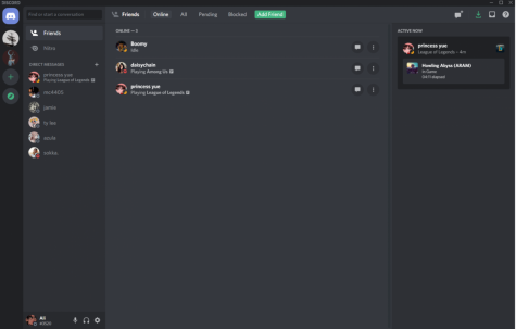 Discord, an instant messaging app used mostly by the gaming community, provides the opportunity for large friend groups to keep in touch and share video games and music. / Photo courtesy of Aliyah Rodriguez.