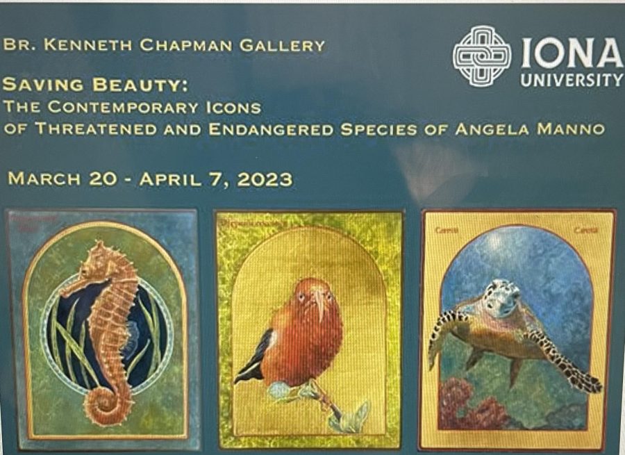 Br. Kenneth Chapman Gallerys new gallery showcases the beauty and need to protect endangered species. 