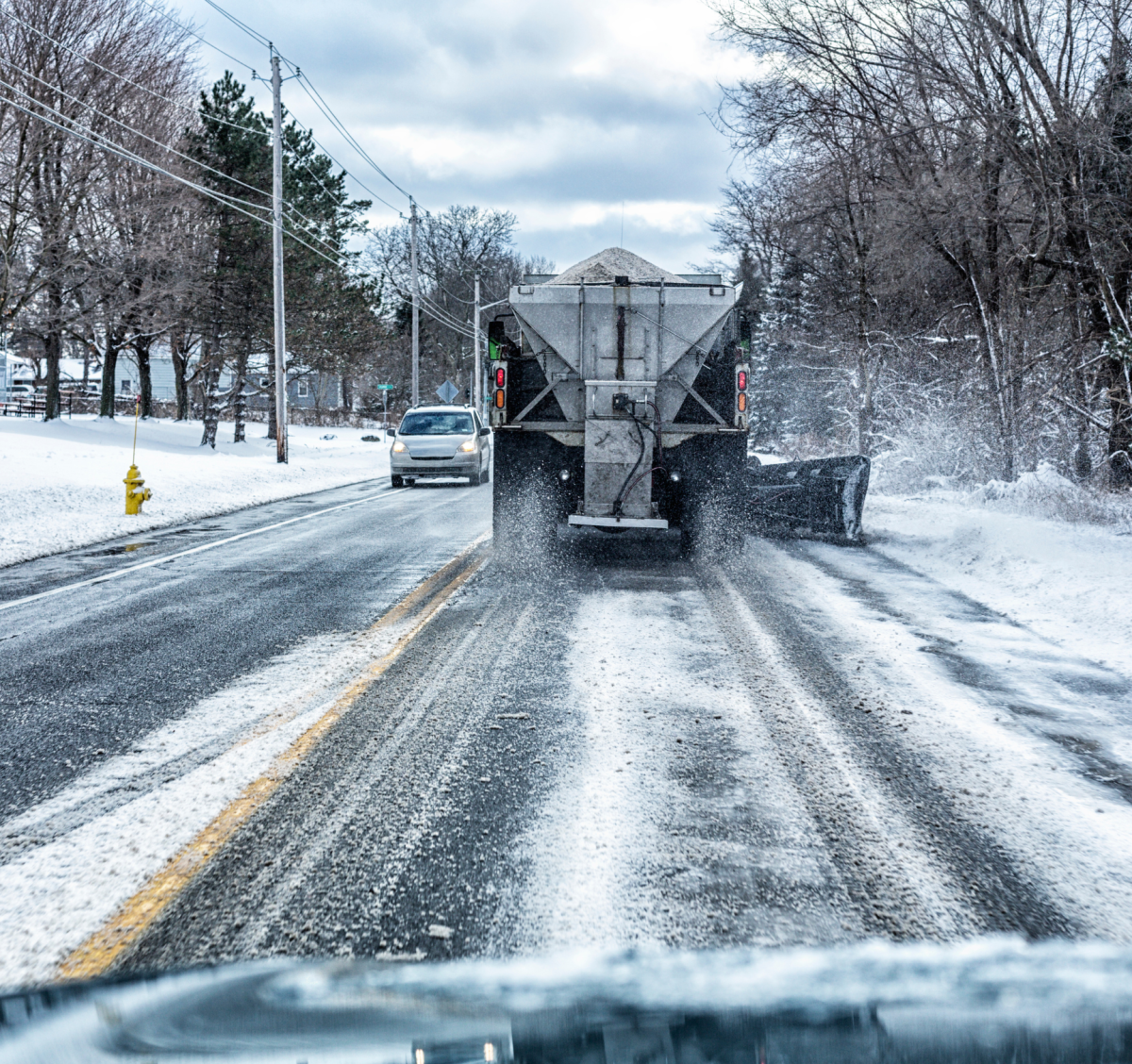 Read up on helpful tips to deal with road salt.