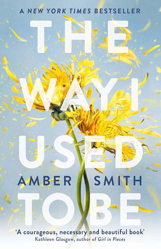 The cover for "The Way I Used to Be" by Amber Smith